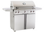 AOG T Series 30" Portable Grill | American Outdoor Grill