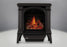 Napoleon Bayfield Direct Vent Gas Stove