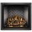 Napoleon Elevation X Series- Phase 0 Direct Vent Fireplace