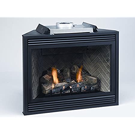 Top/Rear Vent Fireplace With Black Door - Natural Gas - Millivolt TB42NTR