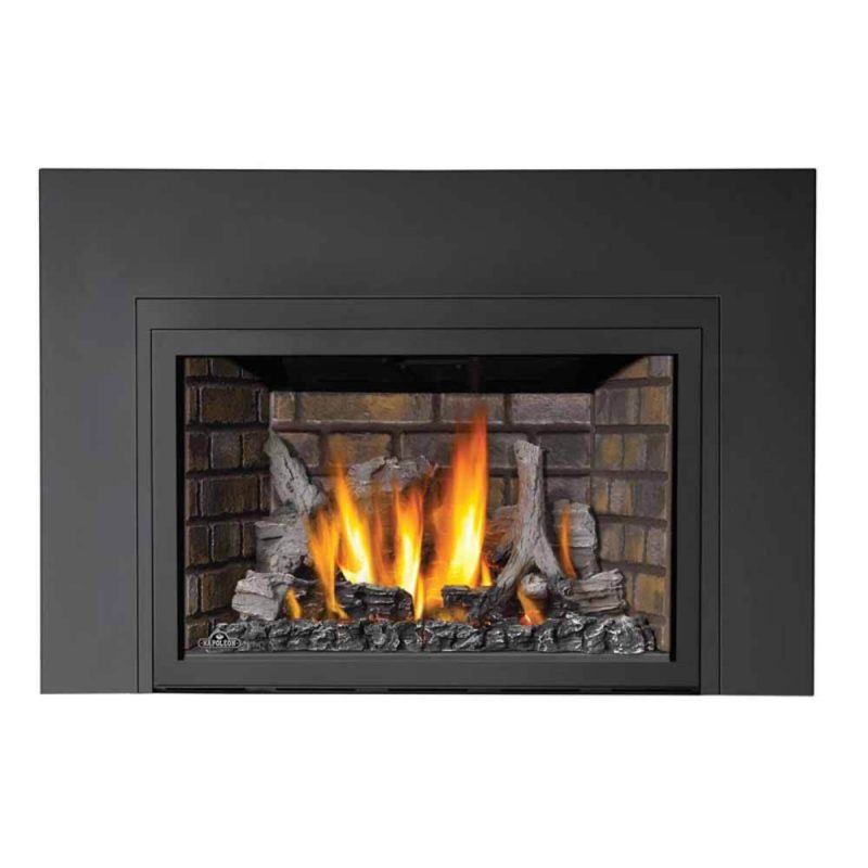 Napoleon IR3 Infared Direct-Vent Insert
